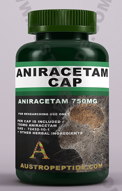 aniracetam study stack